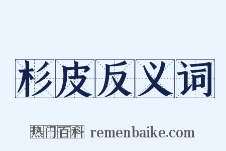 杉皮反义词是什么意思的图片